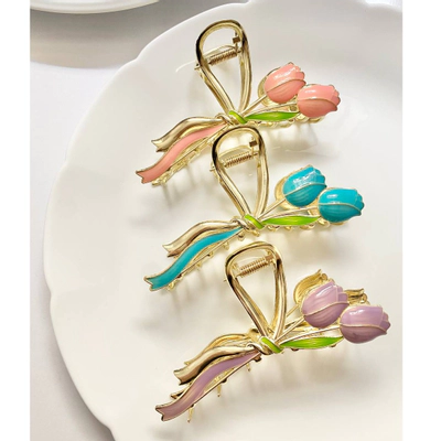 کلیپس مجلسی